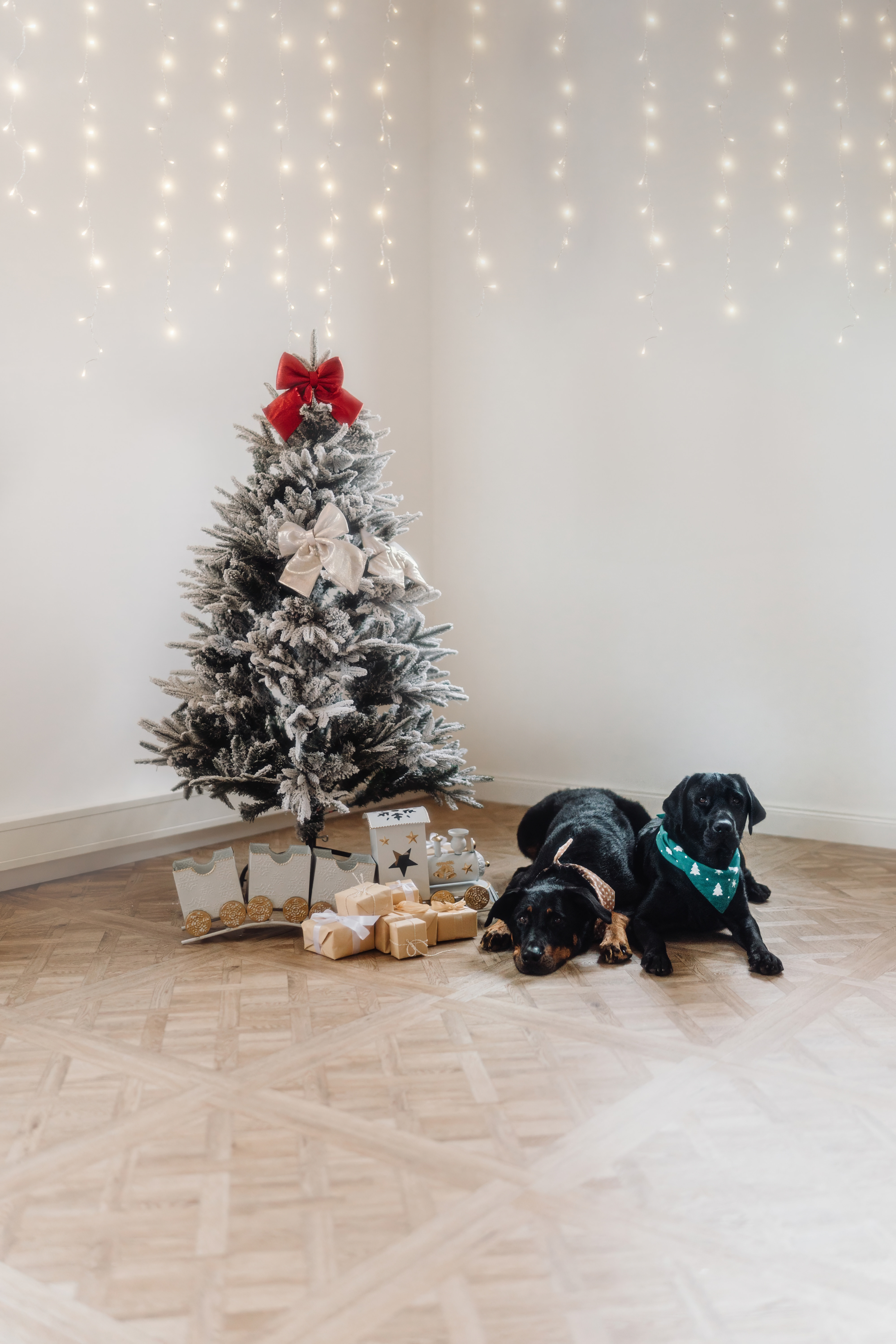 Weihnachtsmini von Nina fotografiert – Moment 1